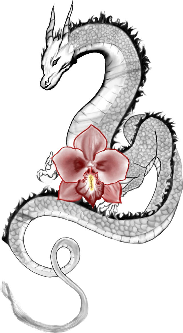 Hiraya dragon and orchid logo